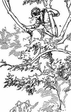 Jane Dared Not Get Down From the Tree. Jane Dared Not Get Down From the Tree.