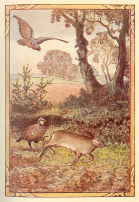 You boasted of being so swift. You boasted of being so swift.