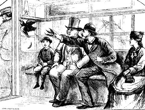 A SHOT AT AN EAGLE. A SHOT AT AN EAGLE.