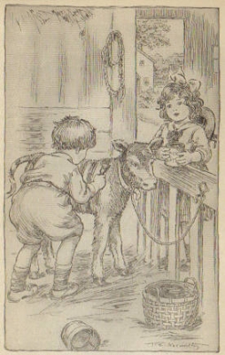 THEY WERE BUSY TURNING A CALF INTO A CIRCUS ZEBRA. THEY WERE BUSY TURNING A CALF INTO A CIRCUS ZEBRA.