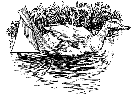The yacht was driven straight on to the duck Illustration: The yacht was driven straight on to the duck