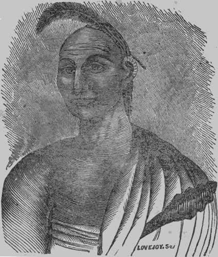 BLACK HAWK. BLACK HAWK.