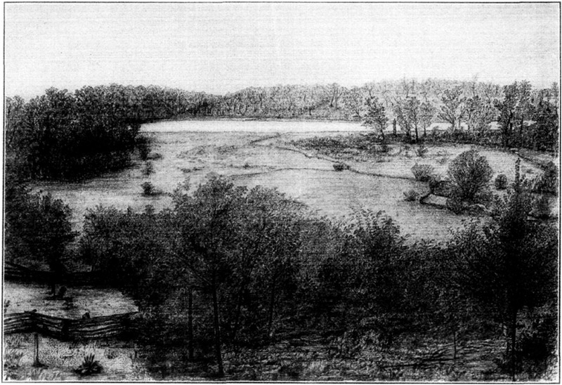MUIR'S LAKE (FOUNTAIN LAKE) AND THE GARDEN MEADOW