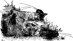 The Cheery Cricket People The Cheery Cricket People