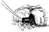 The Cheery Cricket People The Cheery Cricket People