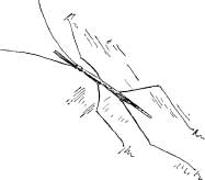 A Queer Fellow A Queer Fellow