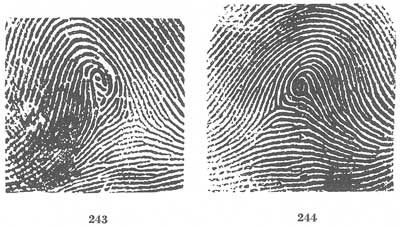 Figs. 243-244 Figs. 243-244