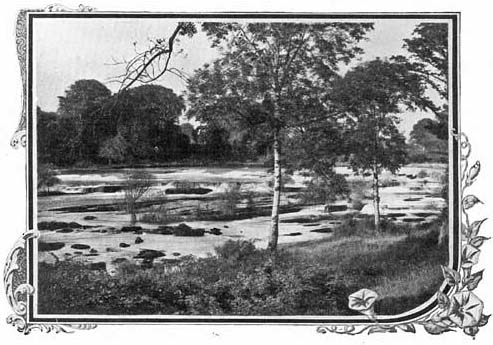 At Castleconnell At Castleconnell