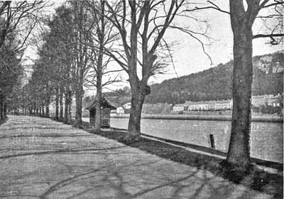 The Marina The Marina