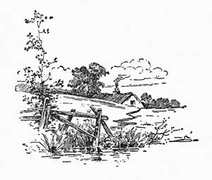 Chapter footer Chapter footer