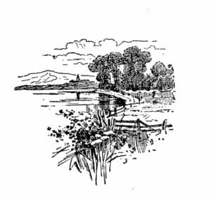 Chapter footer Chapter footer