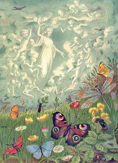 Nightingale Nightingale