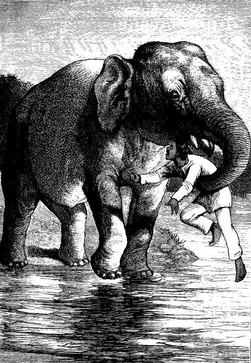 The Keeper Punished The Keeper Punished