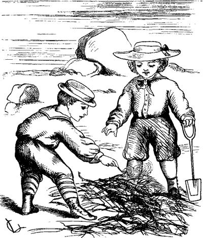 Neddy's Sand-Bank Picture 3 Neddy's Sand-Bank Picture 3