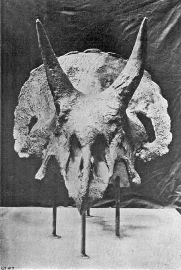 PREHISTORIC MONSTER PREHISTORIC MONSTER