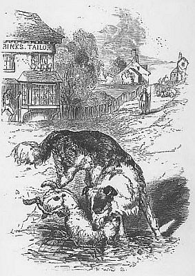 THE SHEPHERD'S DOG AND CUR i003