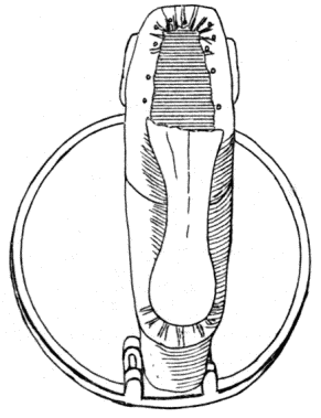 Shank piece Shank piece