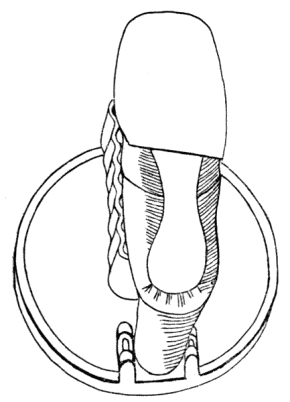 Middle sole Middle sole