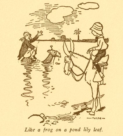 Sat There Like a Frog on A Pond Lily Leaf 308