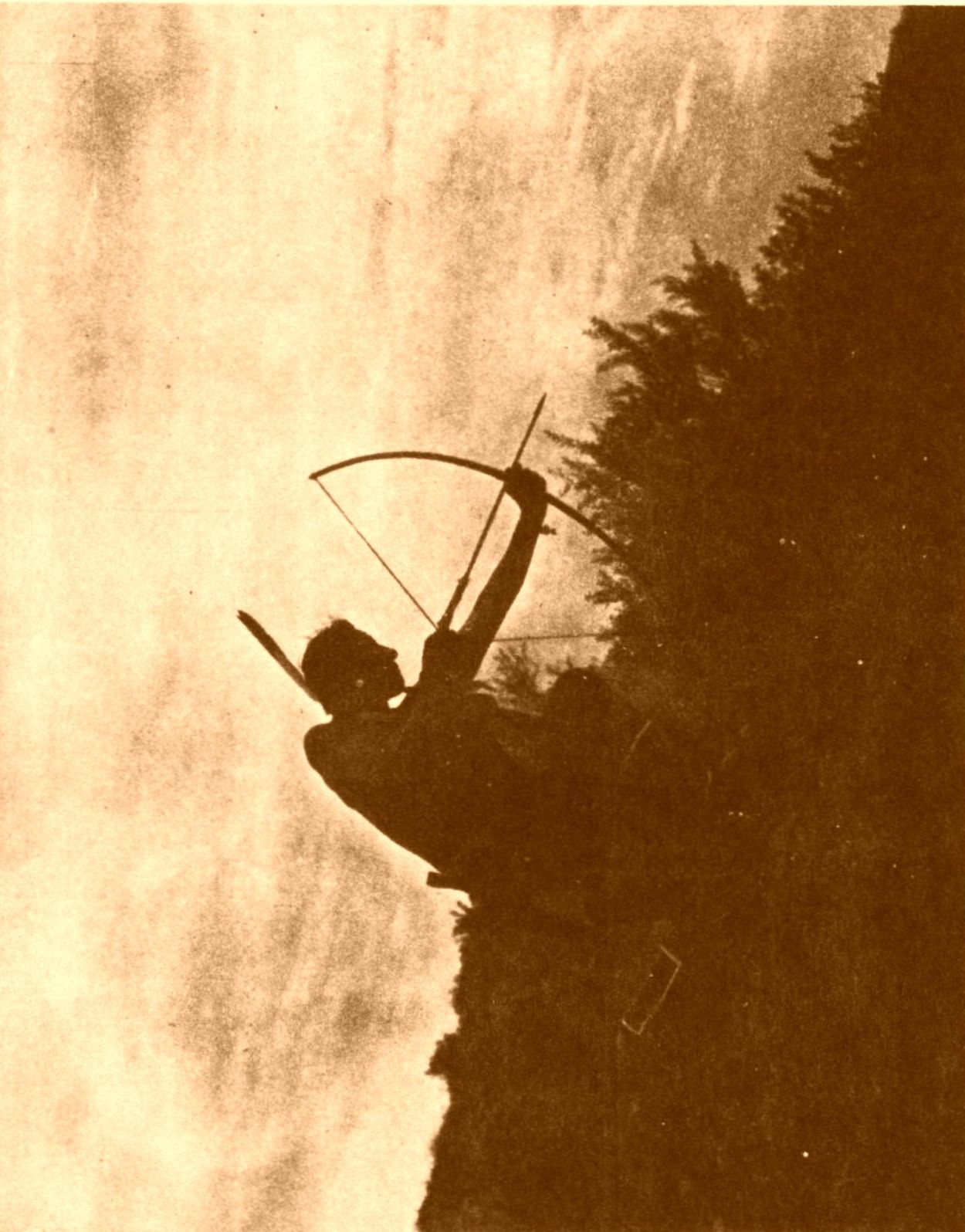 The Last Arrow The Last Arrow