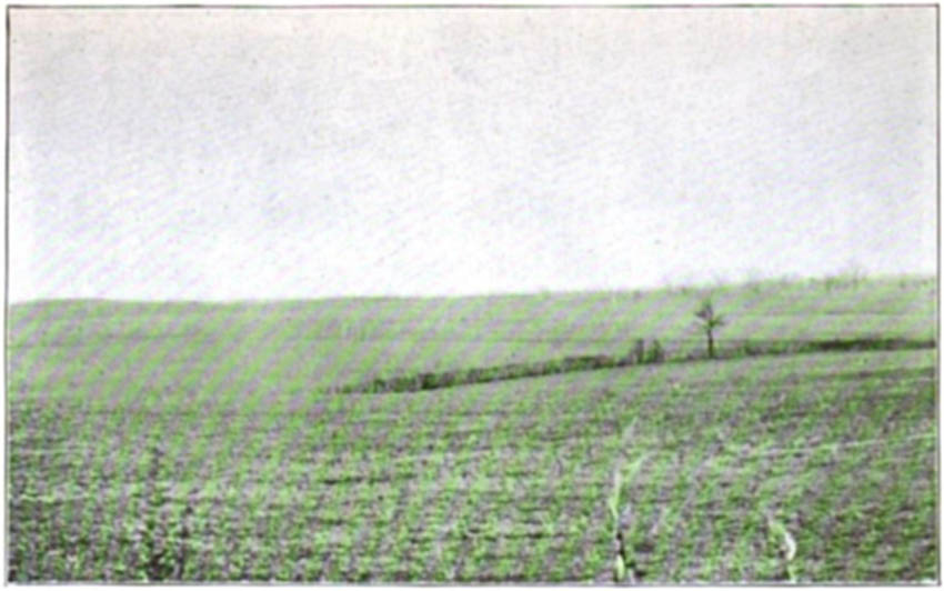 A Section of the Grand Prairie in Benton County