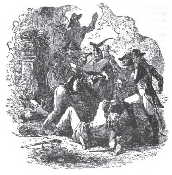 Capture of the 'red-beard' 334