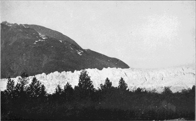 Copyright by E. A. Hegg, Juneau

Courtesy of Webster & Stevens, Seattle

Distant View of Davidson Glacier