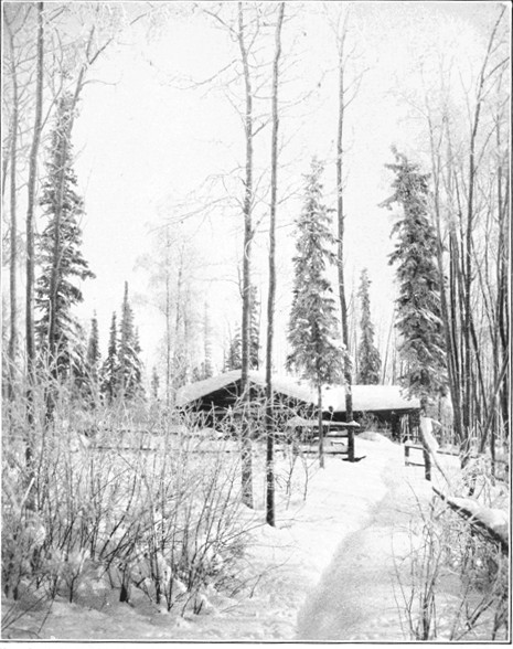 Photo by J. Doody, Dawson

A Home in the Yukon