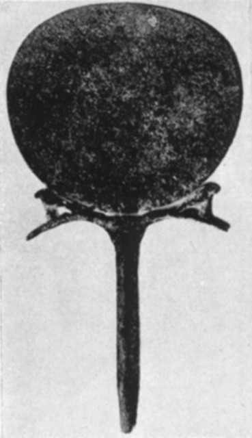 Bronze Mirror Bronze Mirror