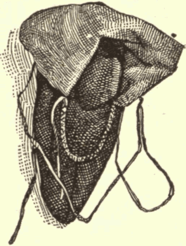 Kutchin Moccasin. (From Original in Peabody Museum.) Illustration.