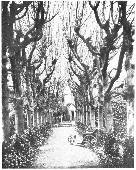 All�e des marronniers dans le jardin du Carmel de
Lisieux.

(La petite voiture que l'on voit, apr�s avoir servi au p�re de S&oelig;ur
Th�r�se-de l'Enfant-J�sus, pendant ses ann�es d'infirmit�, fut donn�e au
Carmel.

C'est dans cette voiture que la servante du Dieu, malade, et install�e �
cette m�me place, �crivit les derni�res pages de sa �Vie�.)