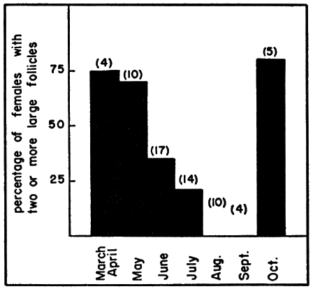 Fig. 5. The seasonal occurrence of enlarged ovarian
follicles in females Fig. 5. The seasonal occurrence of enlarged ovarian
follicles in females