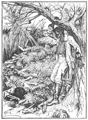 The man finds the remains of his friend and three dead wolves