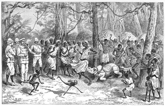 BABY RHINOCEROS SHOWING FIGHT IN CAMP. BABY RHINOCEROS SHOWING FIGHT IN CAMP.