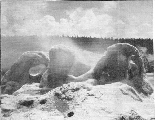 Its curiously formed cone has earned it the name of Grotto Geyser. In its two major basins, Yellowstone has more active geysers than all the rest of the world, but you’ll never tire of their varied fascination.