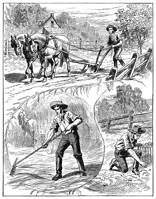 farmer working in three scenes