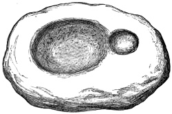 Fig. 186.—Lamp of Sandstone from Broch of Kettleburn.