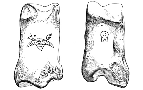 Fig. 243.—Metatarsal Bone of Ox (front and back views), with incised symbols, from Broch of Burrian (actual size).