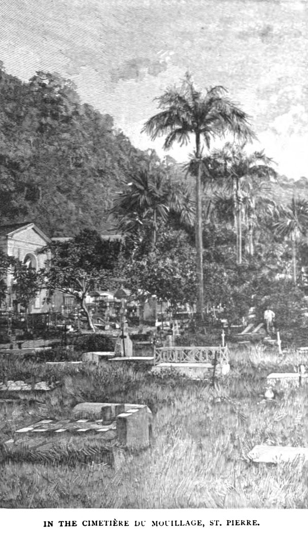 In the Cimetère Du Mouillage, St. Pierre.
