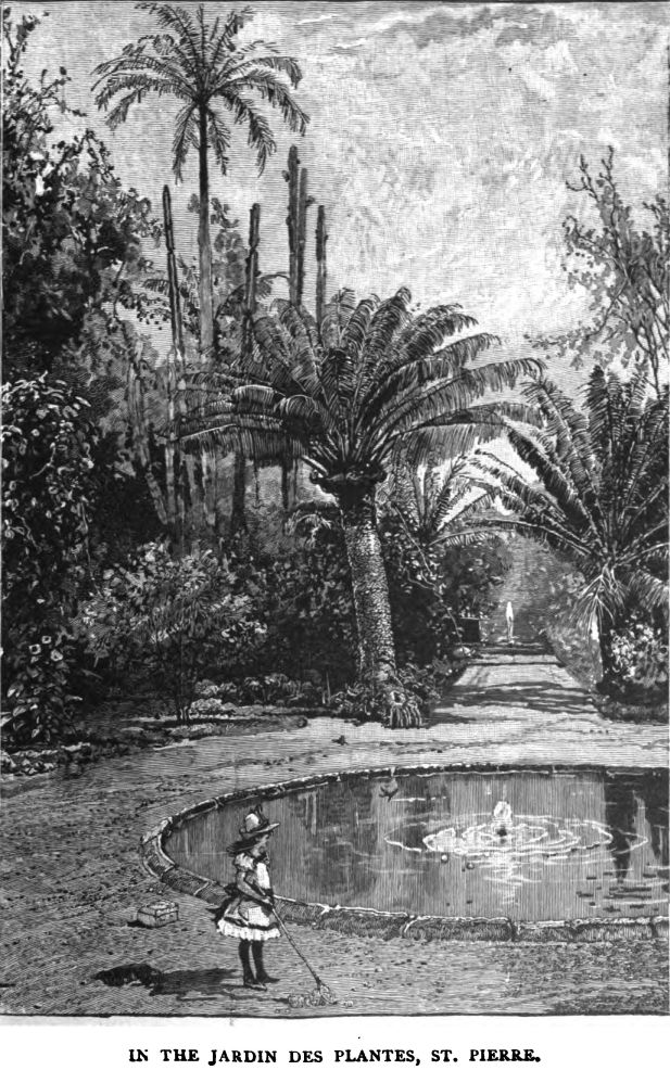 In the Jardin Des Plantes, St. Pierre.