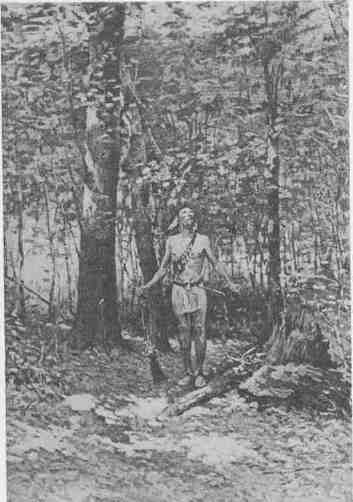 19 the Omen of The Little Blue Birds