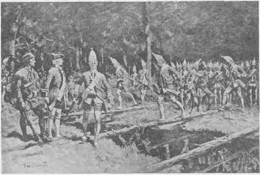 31 Not Much Fitted for Bush-ranging