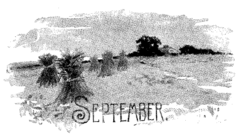September