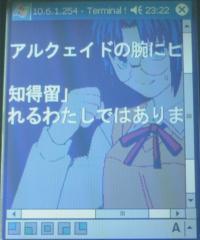 ターミナルサービスクライアント画面